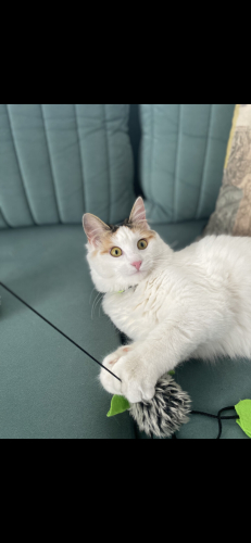 Kaldığım iş yerinin sahipleri beni istemiyor fotoğraf