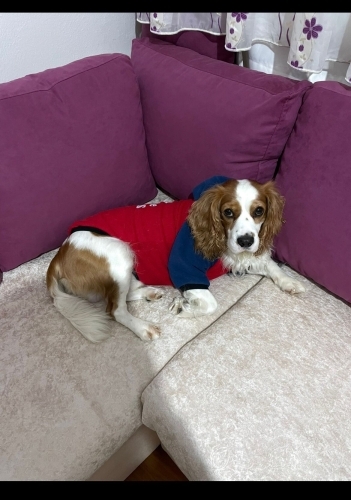 Terk edilmiş bircan fotoğraf