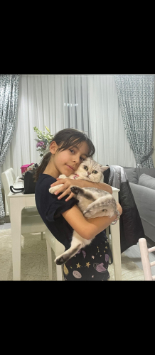 Hem uysal hem hareketli dünya tatlısı Mayamız fotoğraf