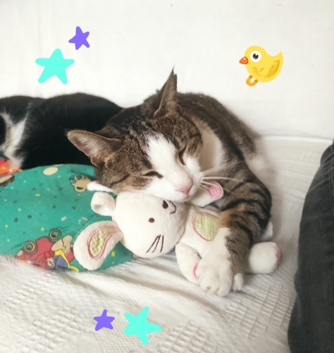 Tatlı Kızımıza Acil Yuva fotoğraf