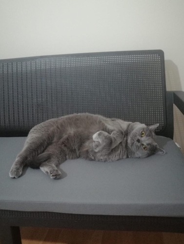 ACİL ANKARA YUVA fotoğraf