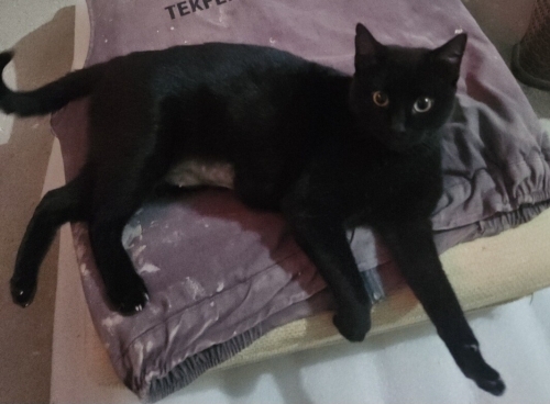 Gece, Haziran ayından beri ailesini bekliyor.. fotoğraf