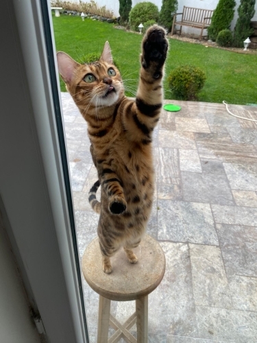 Sevgi dolu kızımıza yuva arıyoruz. fotoğraf