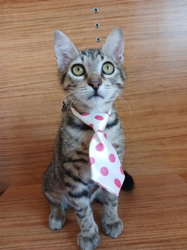 👉👉 MÜCADELECİ MİNİK KIZIN HIKAYESİNİ OKURMUSUNUZ fotoğraf