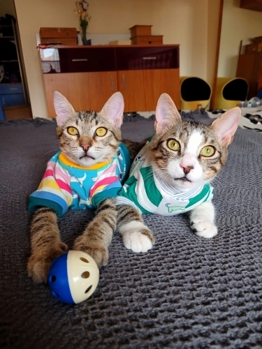 ONLAR NELERİN ÜSTESİNDEN GELDİLER..ARTIK AİLELERİNE KAVUŞSUNLAR MI fotoğraf