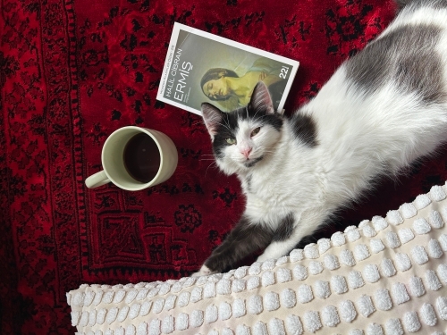 Oyun ve ilgi delisi bir çocuk isteyen var mıdır? fotoğraf