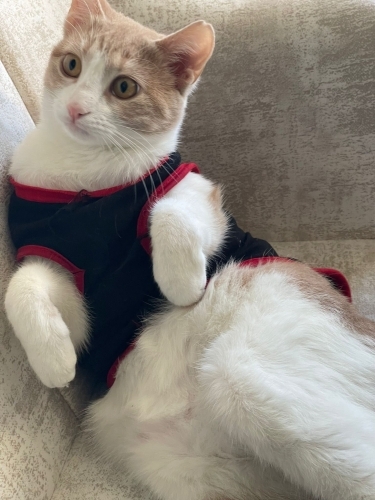 Dünyalar güzelimiz fotoğraf