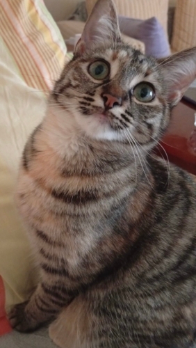 Minik kızım yuwam olurmusunuz fotoğraf