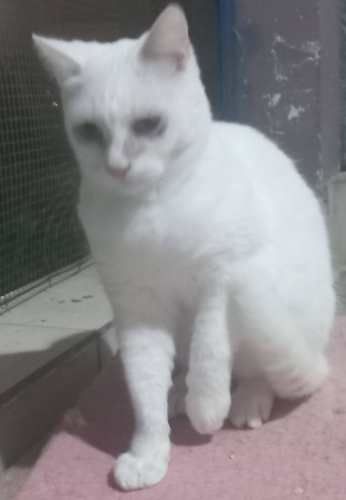 Açıklamayı Okuyunuz fotoğraf