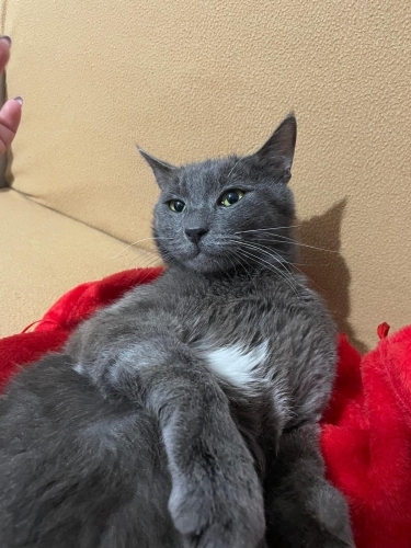 ACİL ANKARA YUVA fotoğraf