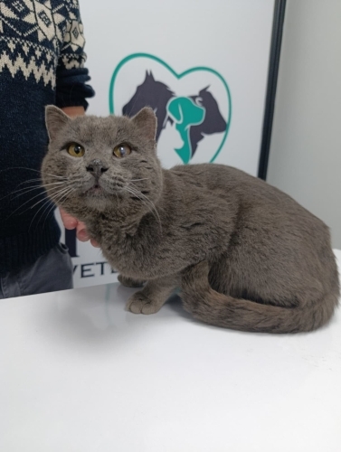 Sokağa bırakılmış fotoğraf