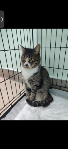 FİP ATLATAN CANIMIZ fotoğraf