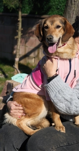 Tiny Mükkemmel Bir Çocuk fotoğraf