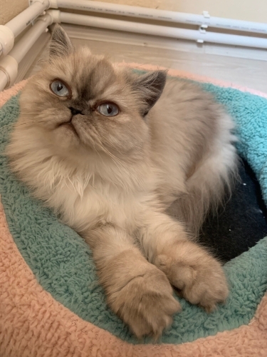 Güzel kızımı artık yalnız bırakmak istemiyorum. fotoğraf