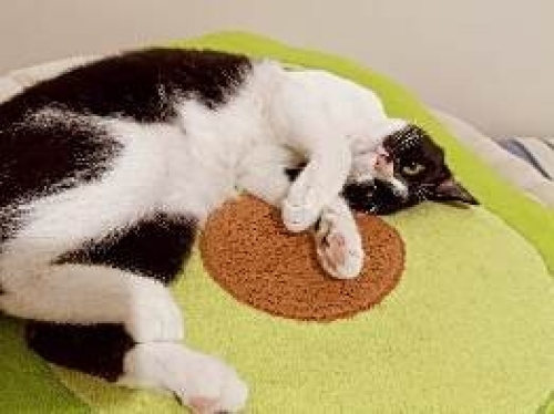 Mia kızımıza ömürlük huzurlu bir yuva.😻 fotoğraf