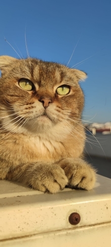 Moka’ya Kalıcı Bir Yuva Arıyoruz fotoğraf