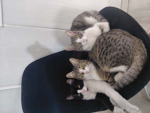 Sanayide tahlikedeler acil yuva fotoğraf