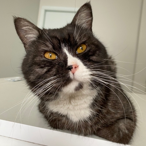 Hiç kimsesi yok, tek istediği sevilmek 😔 fotoğraf