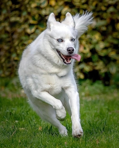 Güzel kızımıza ömürlük yuva fotoğraf