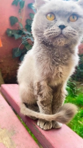 Sevimli kızımıza ömürlük yuva fotoğraf