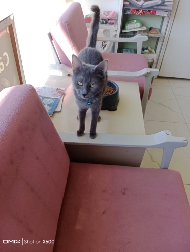 Vette doğdu vette büyüdü artık yuva zamanı ömürlük heveslik değil fotoğraf