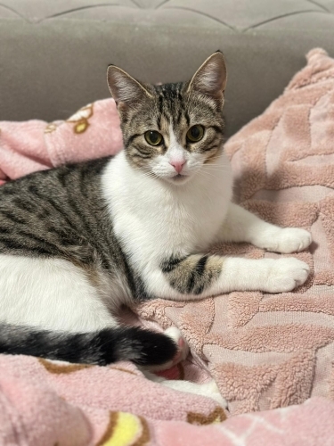 NARİN BARINAĞA GİTMESİN ! fotoğraf