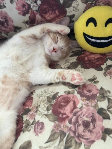 POYRAZ’A EL UZAT ! fotoğraf