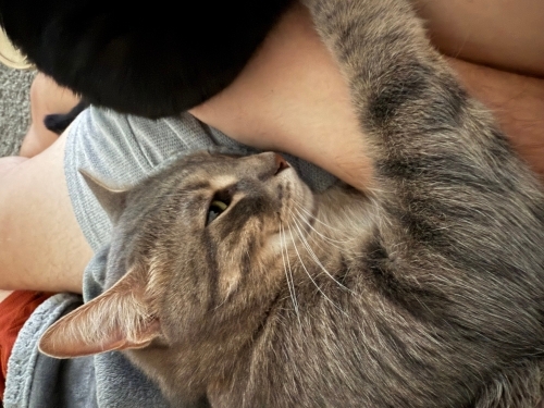 Marvel Yeni Yuvasını Arıyor fotoğraf