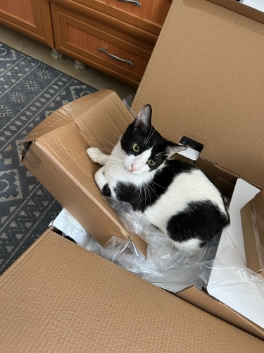 Çorlu ve Çevresi Acil Yuva fotoğraf