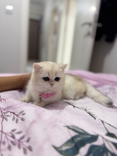 Bütün malzemeleriyle birlikte sahiplendirecez fotoğraf