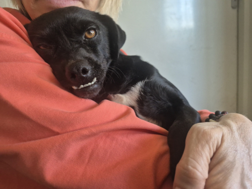 Çok sakin minicik bir kız fotoğraf