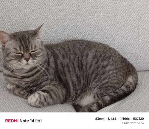 Tüm aşıları tam fotoğraf