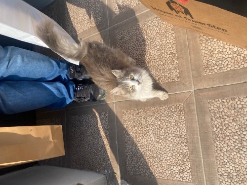 Bu güzelliğinde yuvası olsun💗 fotoğraf