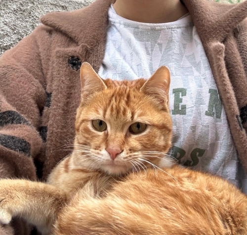 Özel kuzuma yuva fotoğraf