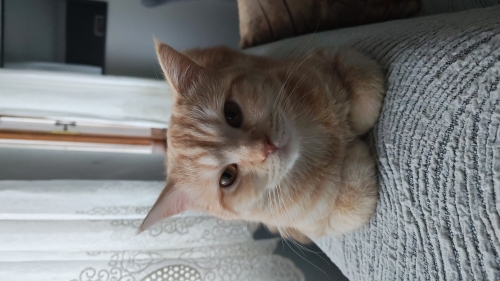 Aile dostu Kuzeyimiz fotoğraf