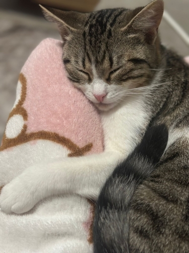 NARİN BARINAĞA GİTMESİN ! (Kısır) fotoğraf