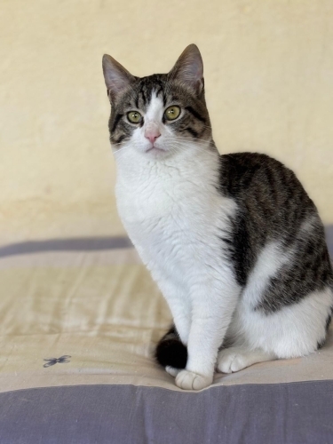 İzmir Acil!Barındıkları ev yıkılacak, kentsel dönüşüme girecek... fotoğraf