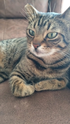 Temas bağımlısı akıl küpü kısır fotoğraf