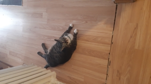 Dumanımıza sıcak bir yuva arıyoruz fotoğraf