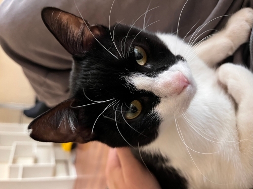 gece’yi sahiplendirmek istiyoruz fotoğraf