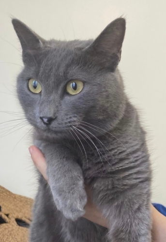 ONU SEVECEK BİR AİLE ARIYORUZ fotoğraf