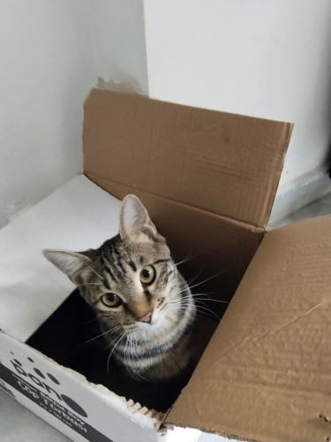 Kızımız Leyla yeni yuvasını y fotoğraf