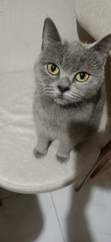 Nazlı kızımıza guzel bir yuva fotoğraf