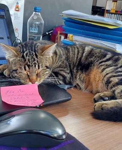 ACİL GİDECEK YERİ YOK fotoğraf