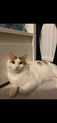 Geçişi evinden güzel bir yuvaya fotoğraf