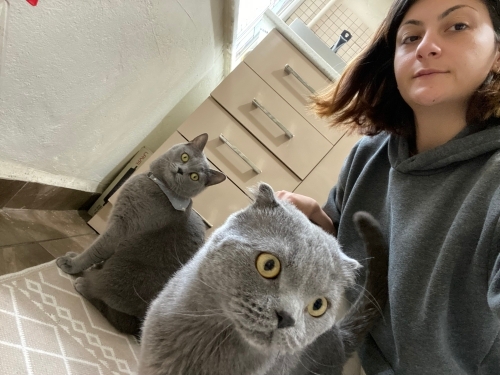 Barınaktan kurtarılmış dünya tatlısı çitos’a ömürlük yuva arıyoruz fotoğraf