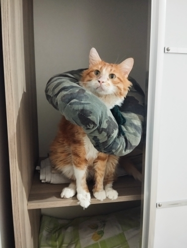 Uysal ve çok naif fotoğraf