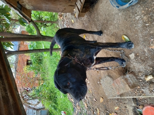 Asil oğlumuzu sevecek aile arıyoruz... fotoğraf