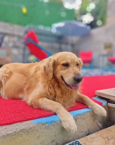 Bebek gibi uysal oğlumuza yuva fotoğraf