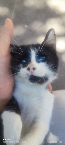 Görmeyen gözü olur musunuz bir ömür.. fotoğraf